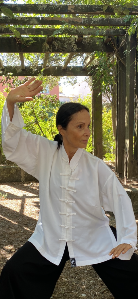 Posture de tai chi